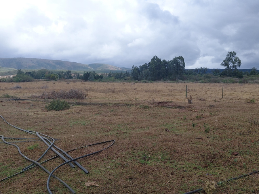 Commercial Property for Sale in Kruisrivier Eastern Cape